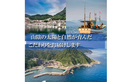 【定期便3回】海の幸干物セットＢを3回お届けします！ 322032_BT010