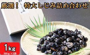 厳選特大しじみ詰め合わせ 322032_BV005