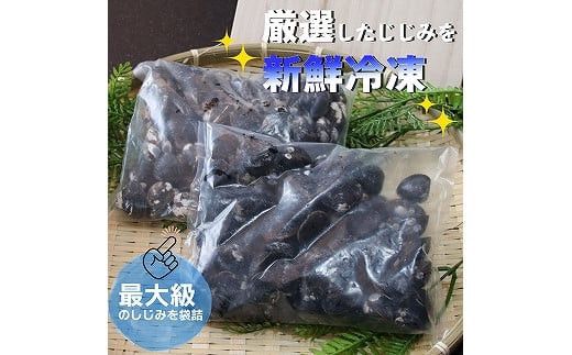 厳選特大しじみ詰め合わせ 322032_BV005