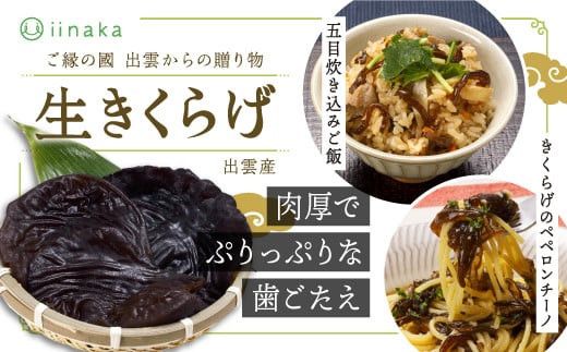 yo_szo_sY炰 322032_CB003