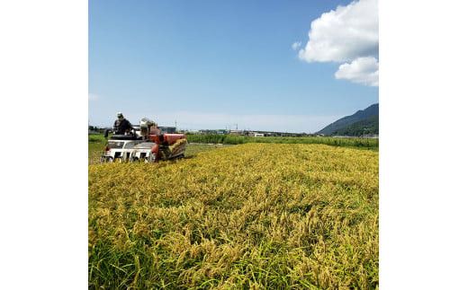 かむほどに口に広がる美味しさ　古代米入り玄米おかき「いづも美人」 322032_CC001VC02