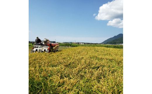 出雲のゆず入り食べる発酵生みそ250ｇ×５個 322032_CC005VC01