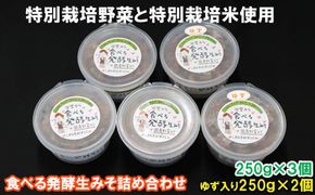 出雲の食べる発酵生みそ詰合せ250ｇ×５個 322032_CC005VC02