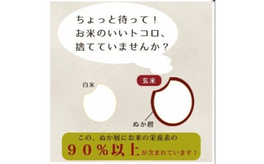 食べる米ぬかパウダー　ぬかだけん100g 3袋セット 322032_CD001
