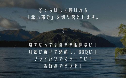 赤VS黒！しまねの天然アワビ食べ比べセット（計0.6kg以上） 322032_CE001
