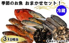 季節のおさかな、おまかせセット！3K相当 322032_CE002