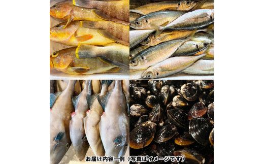 季節のおさかな、おまかせセット！3K相当 322032_CE002