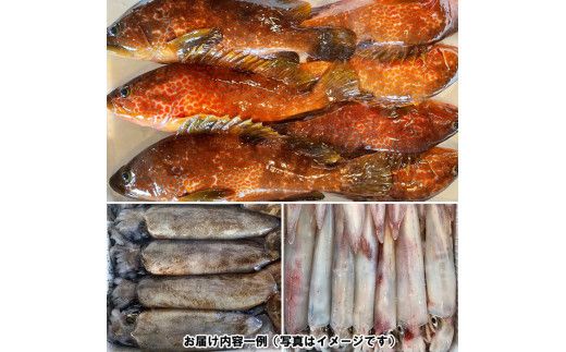 季節のおさかな、おまかせセット！3K相当 322032_CE002