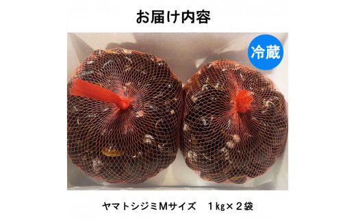 日本一！しまねのヤマトシジミ！Мサイズ 322032_CE004