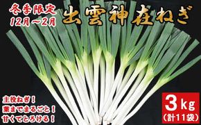 出雲神在（かみあり）ねぎ 322032_CG007