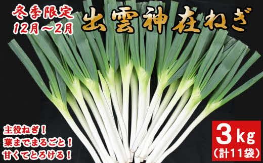 yo_szo__݁i݂j˂ 322032_CG007