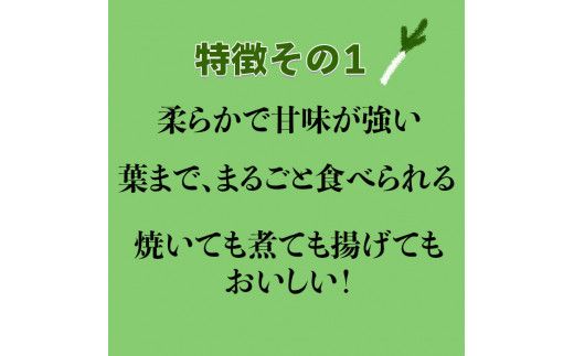 出雲神在（かみあり）ねぎ 322032_CG007