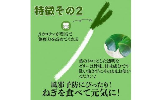 出雲神在（かみあり）ねぎ 322032_CG007