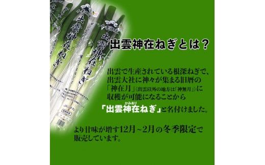 出雲神在（かみあり）ねぎ 322032_CG007