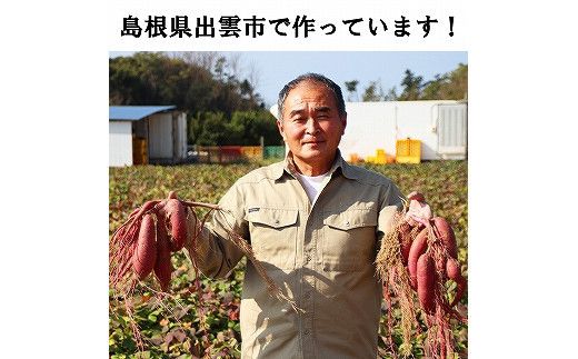 西浜いも（べにはるか）10kg（5kg×2） 322032_CG012