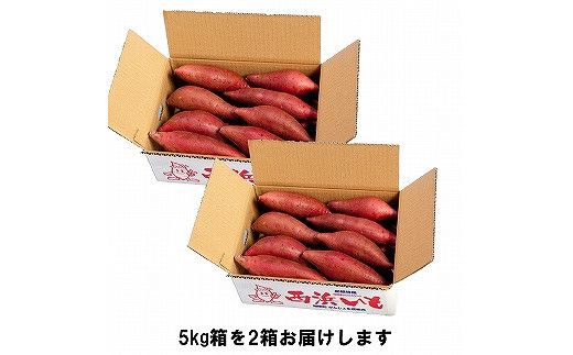 西浜いも（べにはるか）10kg（5kg×2） 322032_CG012