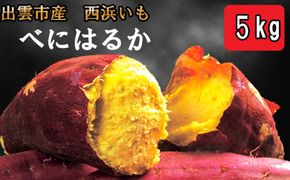 西浜いも（べにはるか）5kg 322032_CG016