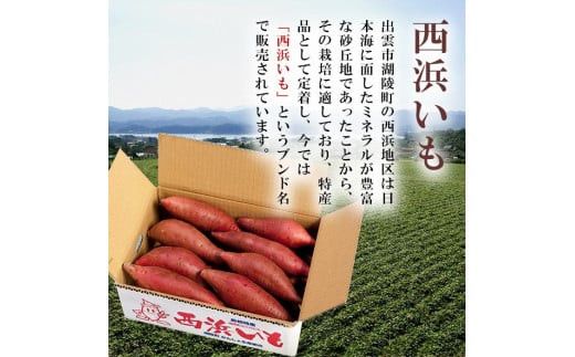 西浜いも（べにはるか）5kg 322032_CG016