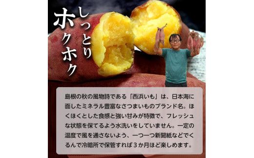 西浜いも（べにはるか）5kg 322032_CG016