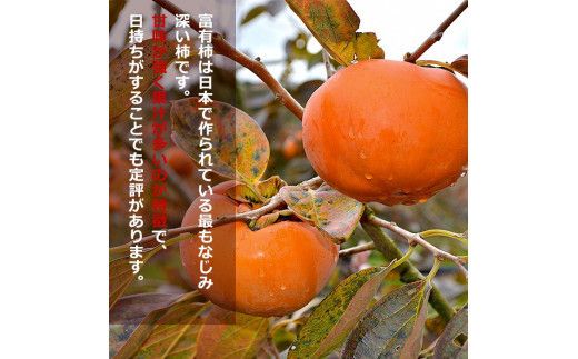 ひらたの柿　富有柿 322032_CG018