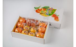 柿の詰め合わせ 322032_CG021