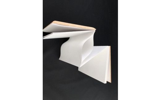 御朱印帳（島根県産天然ヒノキ使用） 322032_CJ001