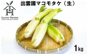 出雲國マコモタケ（生） 1kg 出雲市産　【2026年9月上旬以降発送】 322032_CQ005