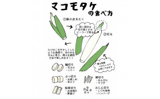 出雲國マコモタケ（生） 1kg 出雲市産　【2026年9月上旬以降発送】 322032_CQ005