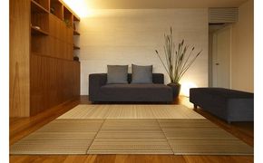 セキスイ畳　「ＭＩＧＵＳＡ」　フロア畳２枚セット 322032_CR001