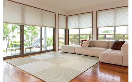 セキスイ畳　「ＭＩＧＵＳＡ」　フロア畳２枚セット 322032_CR001