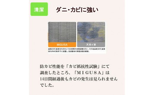 MIGUSAキッチンマット（１．８ｍ-グラウンド） 322032_CR003VC02