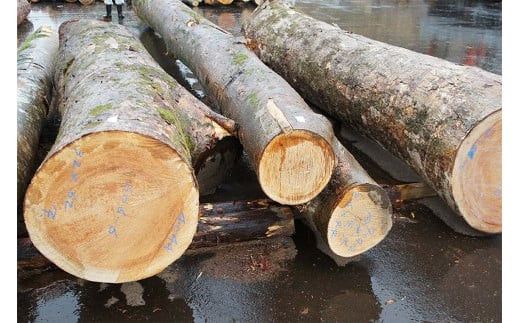 出雲大社ゆかりの縁起物　福こづち特1号 322032_CS016