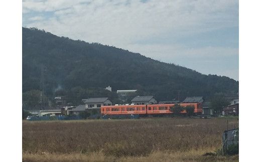 島根で採れる産品を使用しただししょうゆセット 322032_CT002