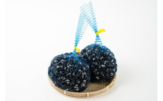 こだわりを持った宍道湖漁師の生しじみ 322032_DA001