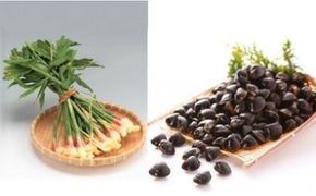 道の駅湯の川厳選特産品セット 322032_DA003