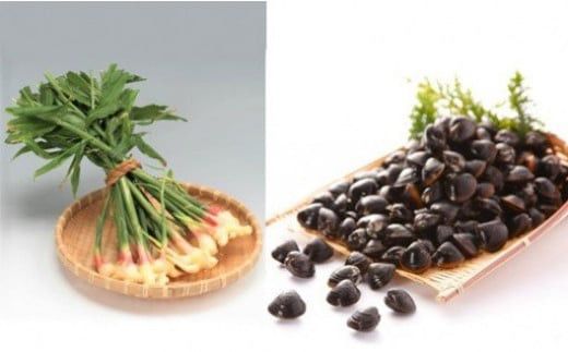 道の駅湯の川厳選特産品セット 322032_DA003