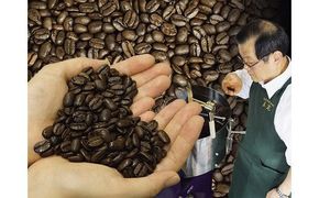 お家でカフェ♪アメリカンスペシャリティ認定豆180ｇ×3袋 322032_DC002