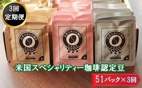 【定期便3回】米国スペシャリティー認定珈琲51バッグを毎月お届け！ 322032_DC010