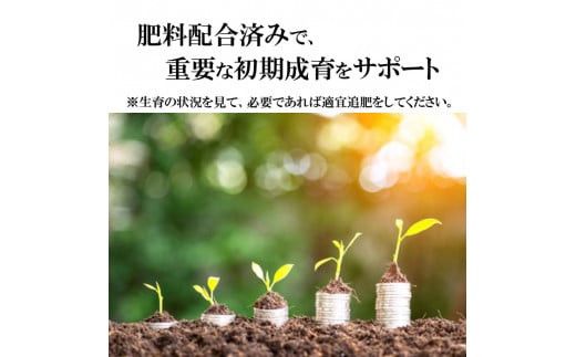 【播種・移植用培養土】種まき培土30L×2袋セット 322032_DD009