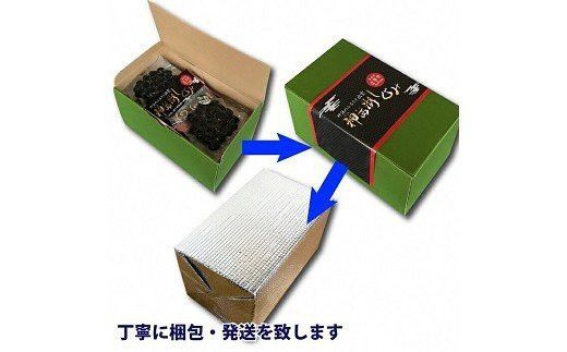 神西湖しじみ100ｇ×10Pセット（常温） 322032_DG002