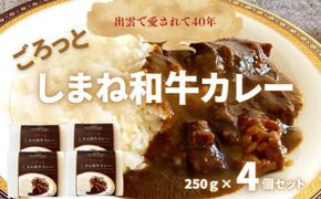 ごろっとしまね和牛カレー　4食セット 322032_DM001