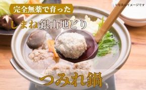 完全無薬で育った 銀山地どりの『つみれ鍋』2～3人前 322032_DM007