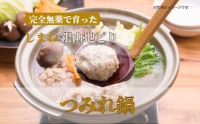 完全無薬で育った 銀山地どりの『つみれ鍋』4～5人前 322032_DM008