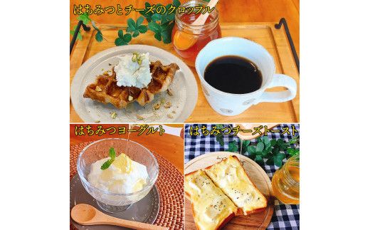 「出雲はちみつ」こだわりの山蜜　縁花蜜と百花蜜の3個セット 322032_DN001