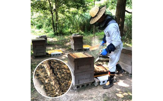 「出雲はちみつ」こだわりの山蜜　縁花蜜と百花蜜の3個セット 322032_DN001