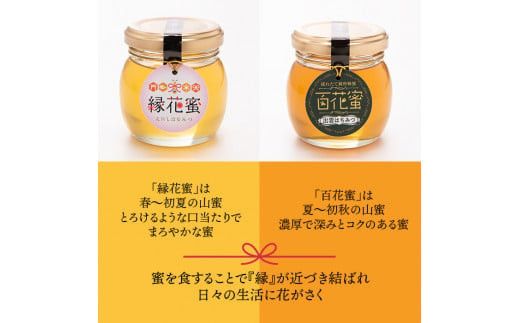 【定期便3回】こだわりの山蜜　出雲はちみつ3個セット 322032_DN002