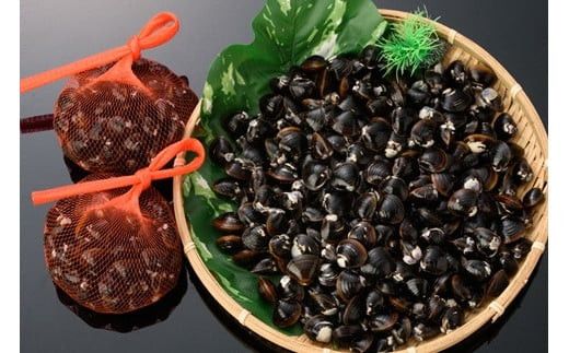 宍道湖漁師の大盛Lサイズ1.5kg大和しじみ（しめ縄干支箸付） 322032_DP003