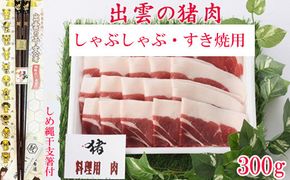 ふるさと納税 服 島根県 出雲市 ディオッサ出雲ＦＣオリジナルポロシャツ ディオッサ出雲FCオリジナルポロシャツ | JTBのふるさと納税