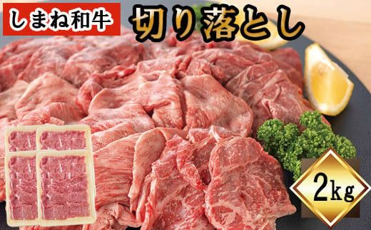 yo_sz܂˘a@؂藎Ƃ@2 322032_DQ006