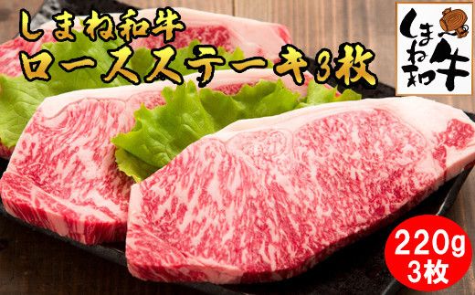 yo_sz܂˘a@[XXe|L3i220×3j 322032_DQ009